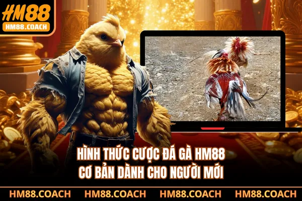Hình thức cược đá gà HM88 cơ bản dành cho người mới
