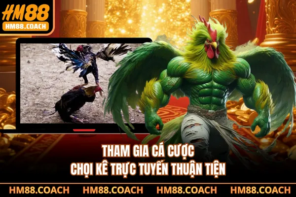 Tham gia cá cược chọi kê trực tuyến thuận tiện